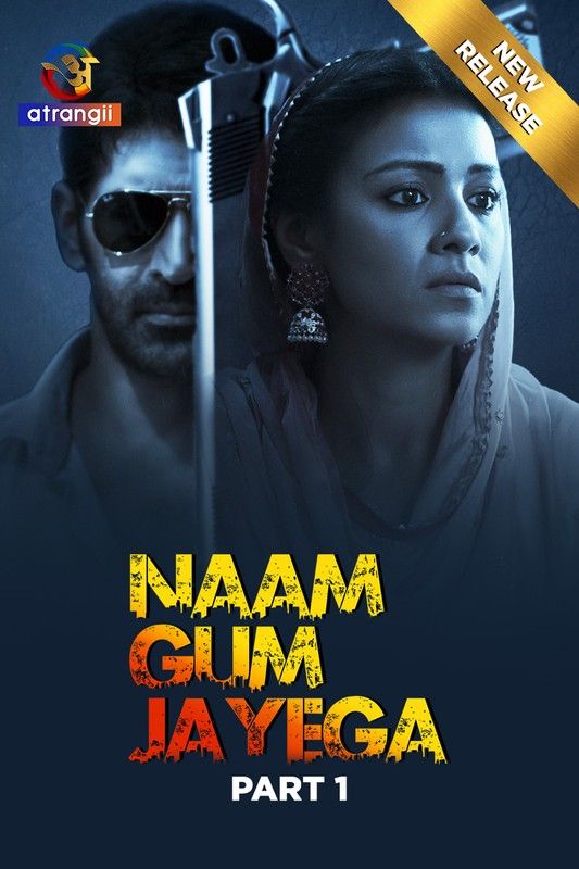 Naam Gum Jayega (2024) S01 Part 1 Hindi Atrangii Web Series Full Movie
